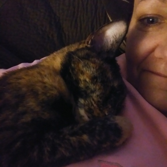 Meet your Posher, Donna - Picture 1 of 1